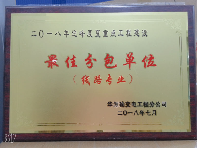 2018年迎峰度夏重点工程建设最佳分包单位.jpg